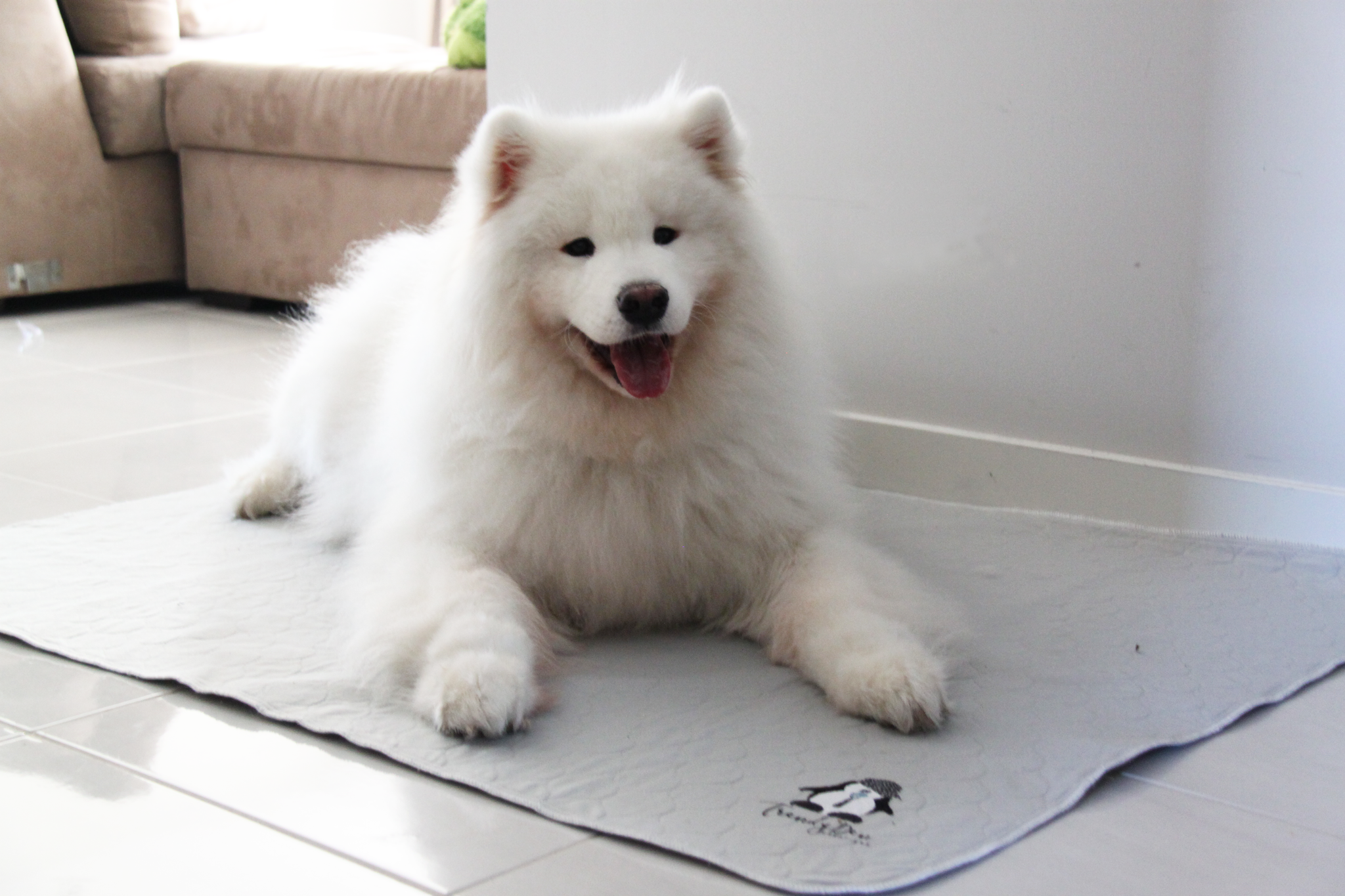 Indoor use - On tile floor