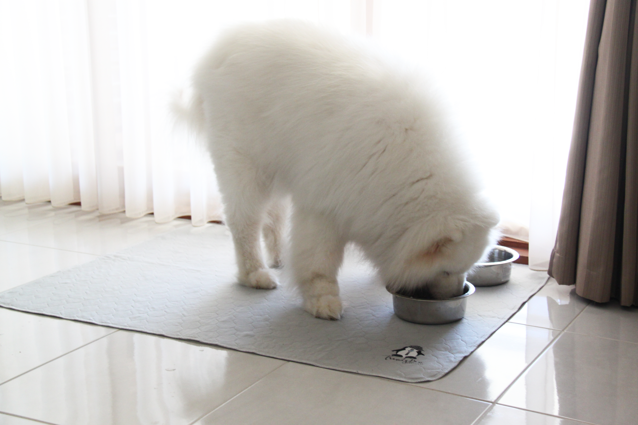 Indoor use - On tile floor food bowls