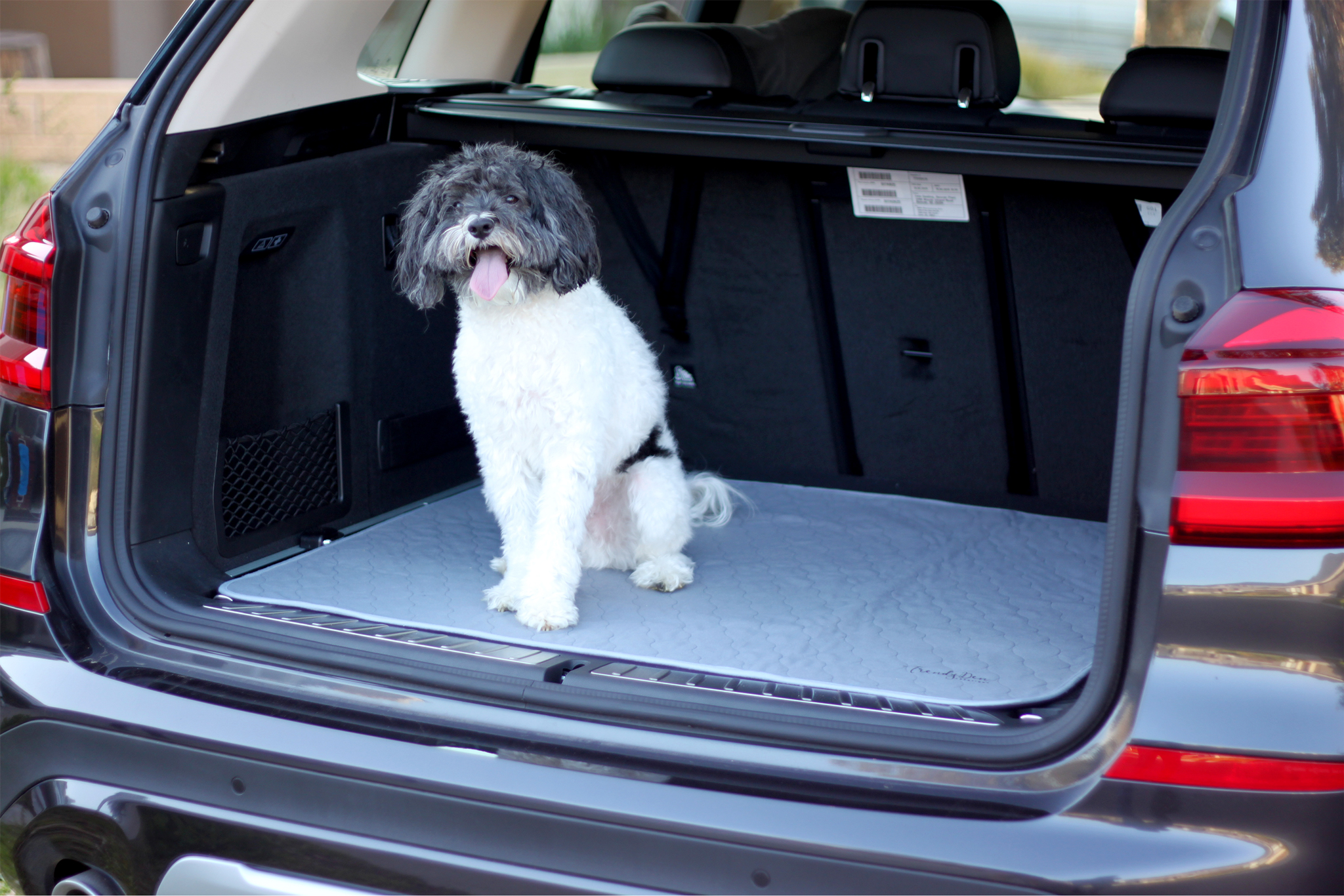 Outdoor use - XL mat in car boot with dog