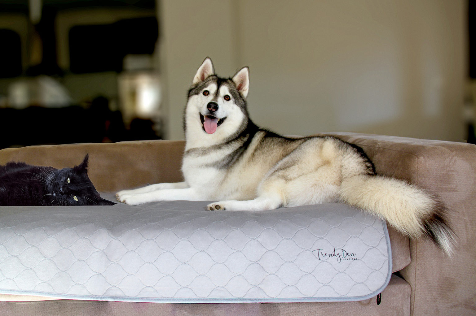Indoor use - Cat Dog Couch