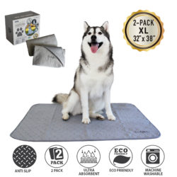 Extra Large Washable Dog Pee Pads –