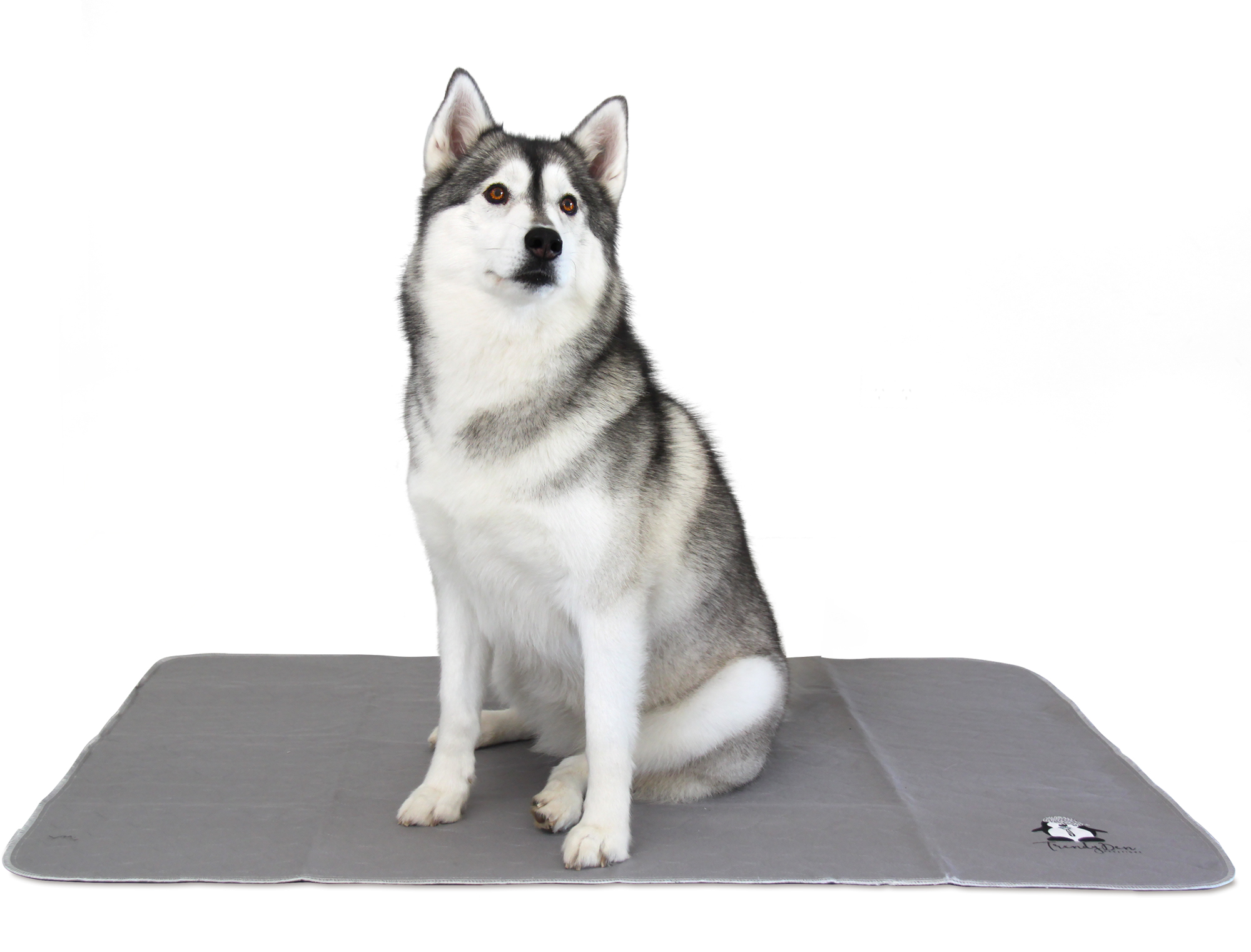 Trendy Den Pets - Washable Pee Pad for Dogs - XXL - Extra X Large - 36 X 48 Inch