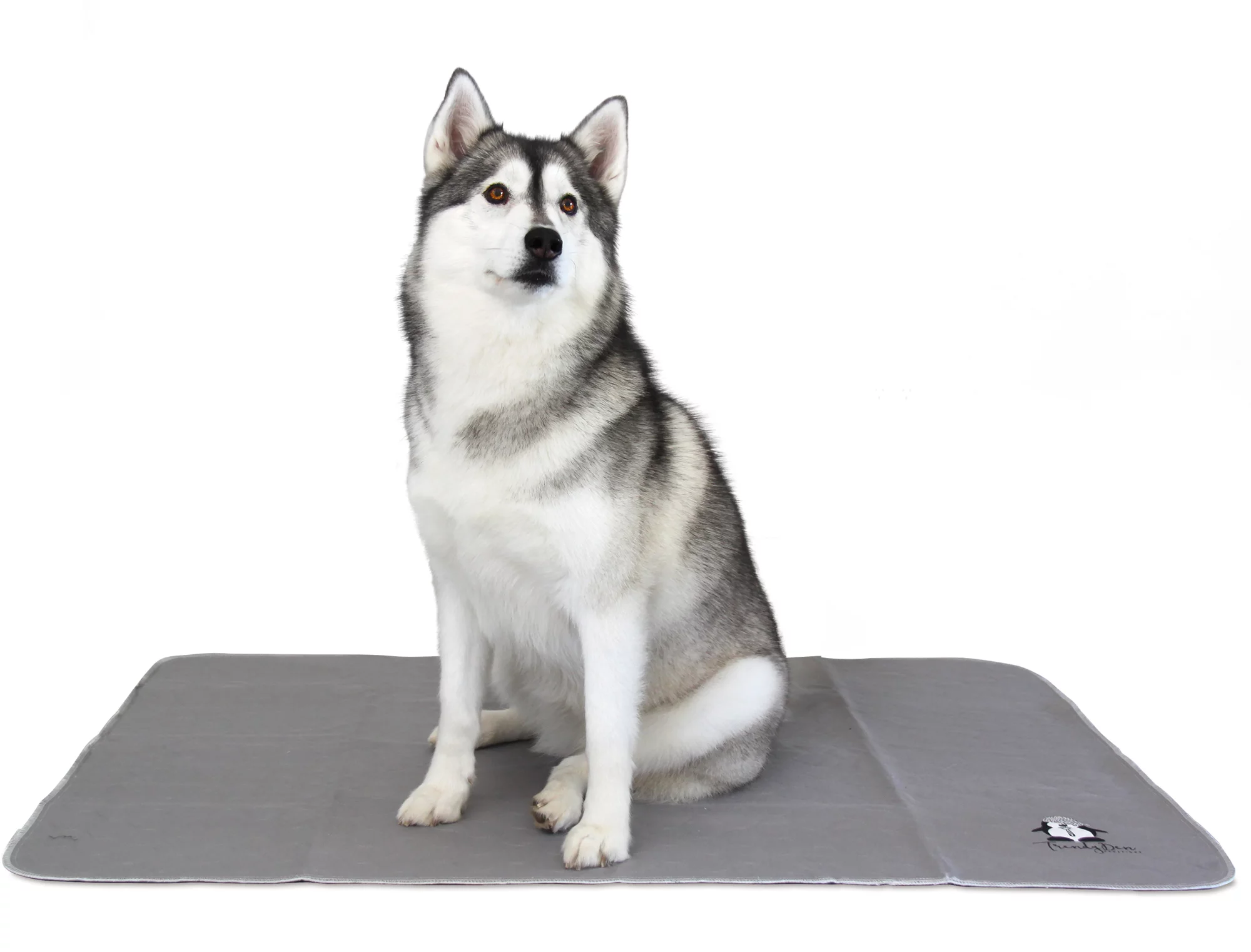 Trendy Den Pets - Washable Pee Pad for Dogs - XXL - Extra X Large - 36 X 48 Inch