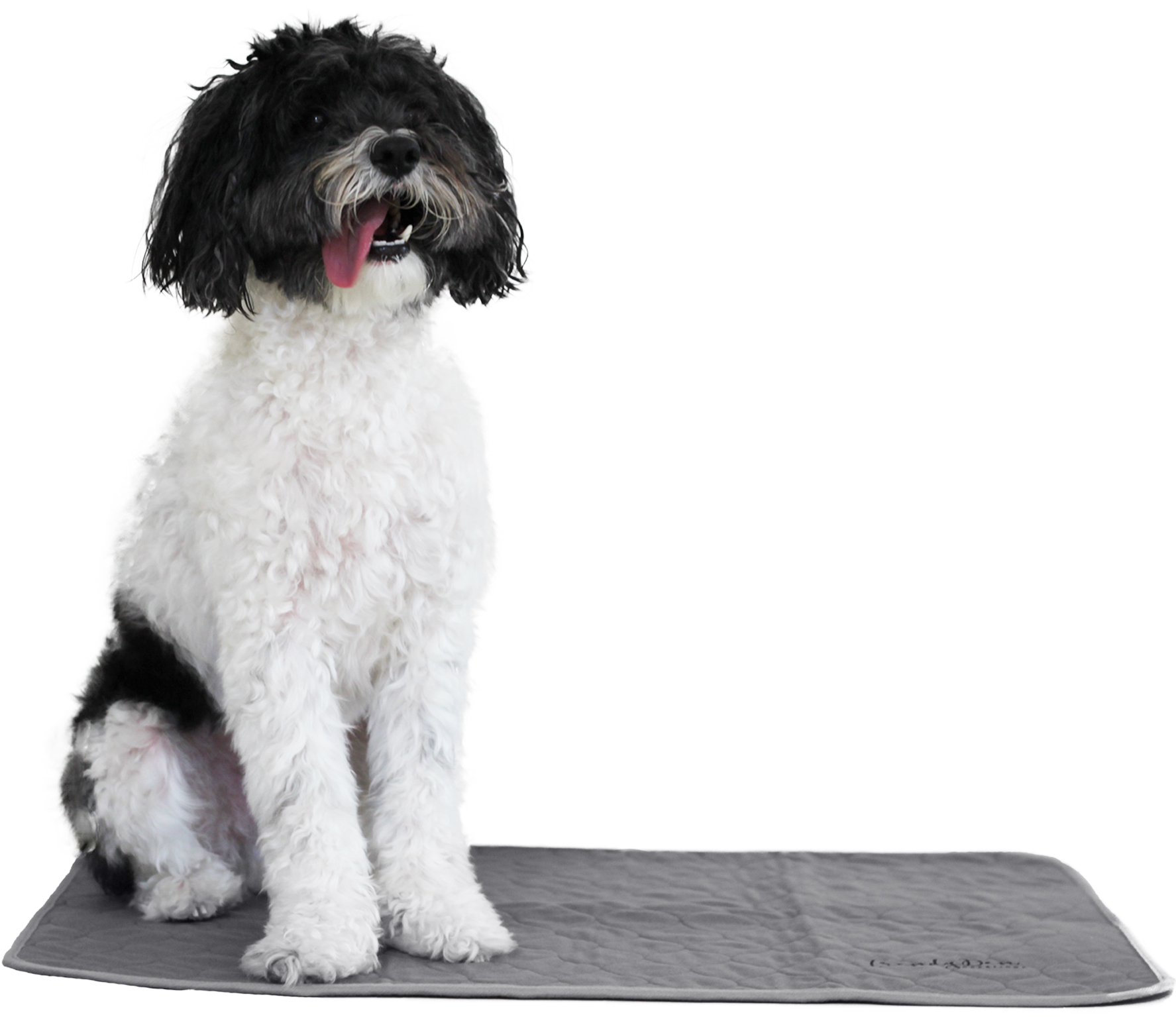 Trendy Den Pets - Washable Pee Pad for Dogs - Small - 20 X 26 Inch