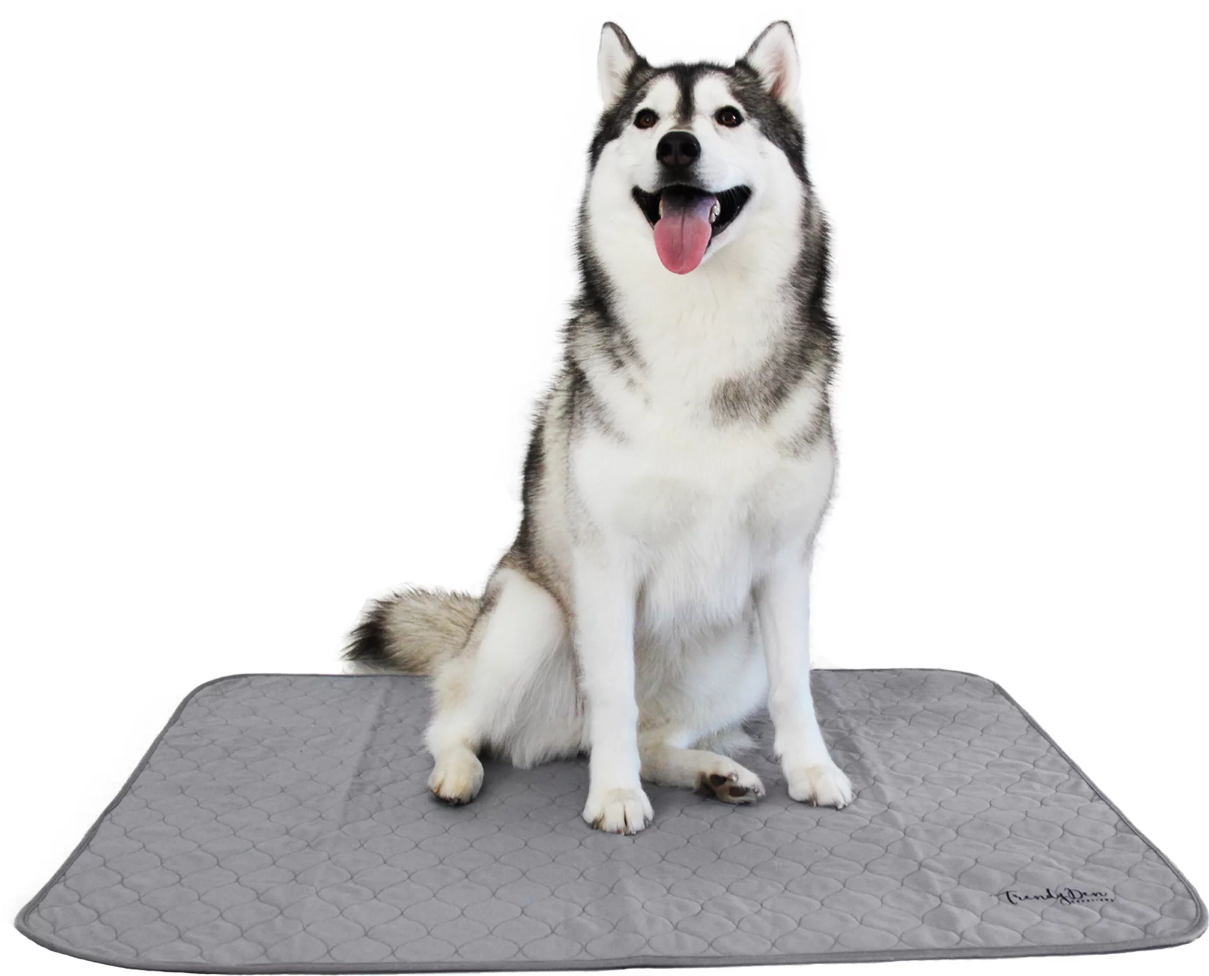 Trendy Den Pets - Washable Pee Pad for Dogs - XL - Extra Large - 32 X 38 Inch
