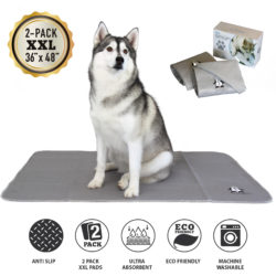 Shatex Extra Large Coral Velvet Washable Waterproof Instant Absorb Dog Pee Pad Non-Slip Pet Playpen Mat, Gray